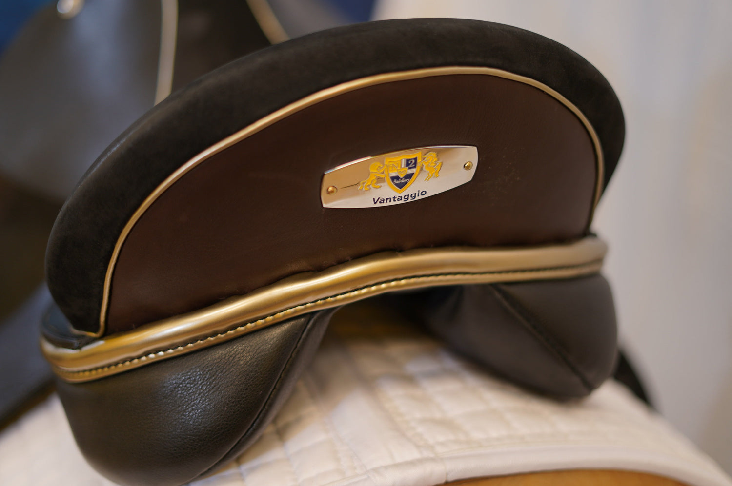 Equestrian saddle back