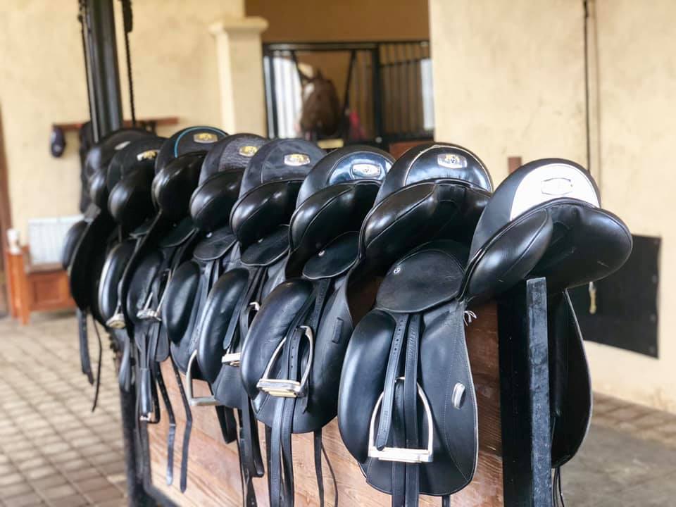 Featured Saddles